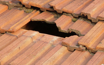 roof repair Dingestow, Monmouthshire